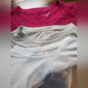 LOFT T-Shirt Bundle in Pink, Gray, and White